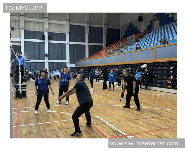 武汉排球队的团队协作之道：排球巨献背后的默契与拼搏精神